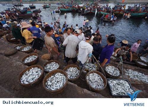 Biển Cửa Lò nằm ngoài vùng nghi nhiễm độc ở miền Trung - Ảnh 2 Biển Cửa Lò nằm ngoài vùng nghi nhiễm độc ở miền Trung - Ảnh 2